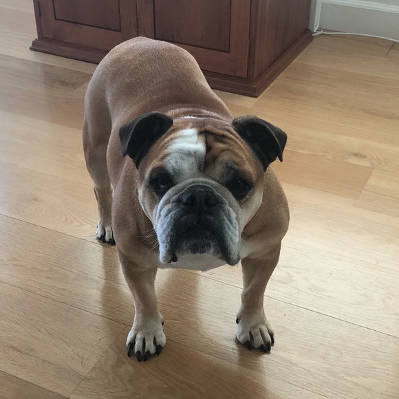 Meet your Posher, Pamela - Picture 2 of 2